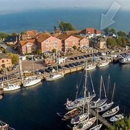 Surf And Chill * Orth