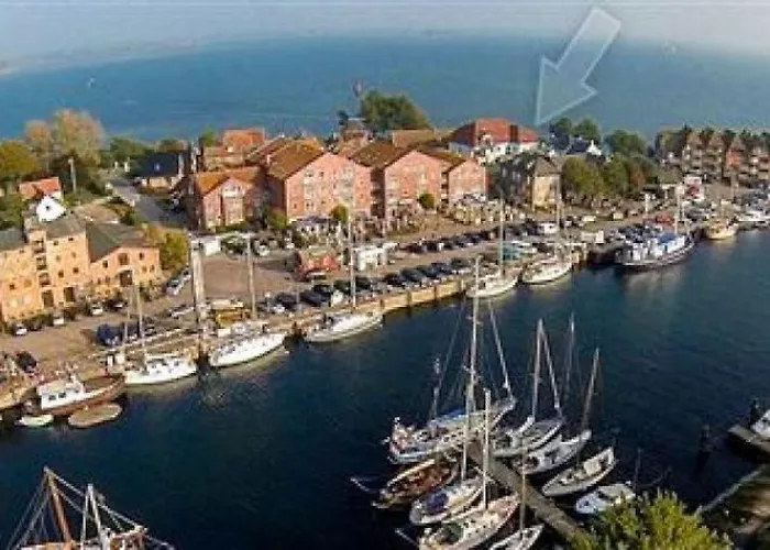 Surf And Chill * Orth